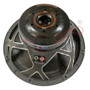 Ferrite DJ Speaker 15 Inch 500 Watt Model ZX15X351